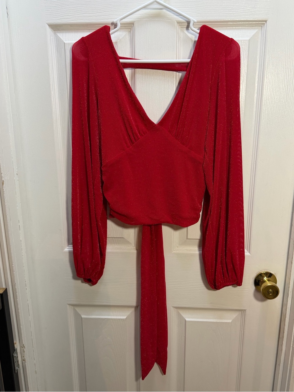 Willow & Root Red V-Neck Long Sleeve Crop Top with Tie Back
